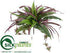 Silk Plants Direct Boston Fern, Spider Bush - Green Purple - Pack of 12