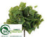 Silk Plants Direct Grape Leaf Bush - Green - Pack of 12
