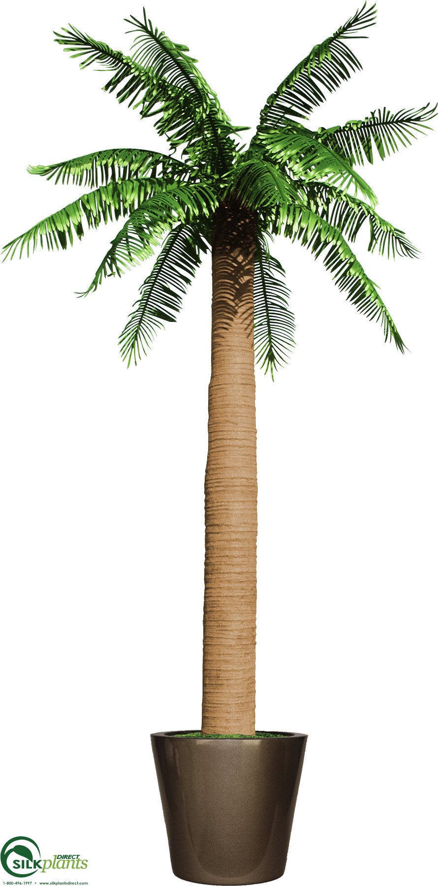artificial coconut palm Silk Plants Direct Outdoor Royal Coconut Palm Tree - Green