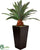 Silk Plants Direct Preserved Pineapple Palm Tree - Green - Pack of 1