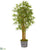 Silk Plants Direct Bamboo Artificial Tree - Pack of 1