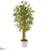 Silk Plants Direct Bamboo Artificial Tree - Pack of 1