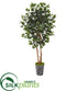 Silk Plants Direct  Ficus Artificial Tree - Pack of 1