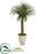 Silk Plants Direct Pony Tail Palm Artificial Plant - Pack of 1
