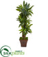 Silk Plants Direct Corn Stalk Dracaena Artificial Plant in Brown Planter - Pack of 1