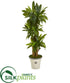 Silk Plants Direct Corn Stalk Dracaena Artificial Plant in Planter - Pack of 1