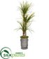 Silk Plants Direct Yucca Artificial Tree - Pack of 1