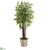 Silk Plants Direct  Bamboo Artificial Tree - Pack of 1