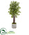Silk Plants Direct  Bamboo Artificial Tree - Pack of 1