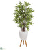 Silk Plants Direct Bamboo Artificial Tree - Pack of 1