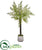 Silk Plants Direct Forest Fern Artificial Tree - Pack of 1
