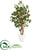 Silk Plants Direct Ficus Artificial Tree - Pack of 1