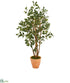 Silk Plants Direct Ficus Artificial Tree - Pack of 1