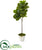 Silk Plants Direct Fiddle Leaf Artificial Tree - Pack of 1