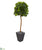 Silk Plants Direct  Fiddle Leaf Artificial Tree in Slate Planter - Pack of 1