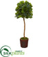 Silk Plants Direct Fiddle Leaf Artificial Tree in Decorative Planter - Pack of 1