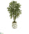 Silk Plants Direct Parlor Palm Artificial Tree - Pack of 1