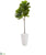 Silk Plants Direct Fiddle Leaf Artificial Tree in White Planter - Pack of 1