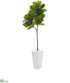 Silk Plants Direct Fiddle Leaf Artificial Tree in White Planter - Pack of 1