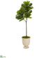 Silk Plants Direct Fiddle Leaf Artificial Tree in Decorative Urn - Pack of 1