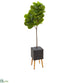 Silk Plants Direct Fiddle Leaf Artificial Tree in Black Planter with Stand - Pack of 1