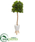 Silk Plants Direct  Fiddle Leaf Artificial Tree in White Planter with Stand - Pack of 1