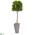 Silk Plants Direct Fiddle Leaf Artificial Tree in Cement Planter - Pack of 1