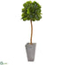 Silk Plants Direct Fiddle Leaf Artificial Tree in Cement Planter - Pack of 1