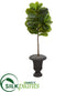 Silk Plants Direct  Fiddle Leaf Artificial Tree in Charcoal Urn - Pack of 1