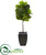 Silk Plants Direct  Fiddle Leaf Artificial Tree in Black Planter - Pack of 1