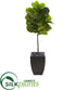 Silk Plants Direct  Fiddle Leaf Artificial Tree in Black Planter - Pack of 1