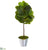 Silk Plants Direct  Fiddle Leaf Artificial Tree in Tin Bucket - Pack of 1