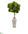 Silk Plants Direct Fiddle Leaf Artificial Tree in Designer Vase - Pack of 1