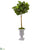 Silk Plants Direct Fiddle Leaf Artificial Tree in Decorative Urn - Pack of 1