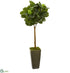 Silk Plants Direct Fiddle Leaf Artificial Tree in Green Planter - Pack of 1