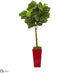 Silk Plants Direct Fiddle Leaf Artificial Tree in Red Planter - Pack of 1