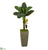 Silk Plants Direct Banana Artificial Tree - Pack of 1