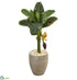 Silk Plants Direct Banana Artificial Tree - Pack of 1