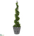 Silk Plants Direct Cypress Artificial Spiral Topiary Tree - Pack of 1