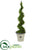 Silk Plants Direct  Cypress Artificial Spiral Topiary Tree - Pack of 1