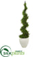 Silk Plants Direct  Cypress Artificial Spiral Topiary Tree - Pack of 1