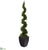 Silk Plants Direct Cypress Artificial Spiral Tree - Pack of 1