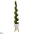 Silk Plants Direct Cypress Artificial Spiral Tree - Pack of 1