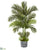 Silk Plants Direct Areca Palm Artificial Tree - Pack of 1