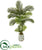 Silk Plants Direct Areca Palm Artificial Tree - Pack of 1