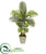 Silk Plants Direct  Areca Palm Artificial Tree - Pack of 1