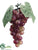Round Grape - Burgundy Two Tone Green Rose - Pack of 12