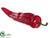 Chili Pepper - Red - Pack of 12