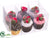 Cupcake - Assorted - Pack of 6