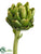 Artichoke - Green - Pack of 12